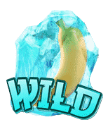 Nin Nin Fruit คุณสมบัติ Wild